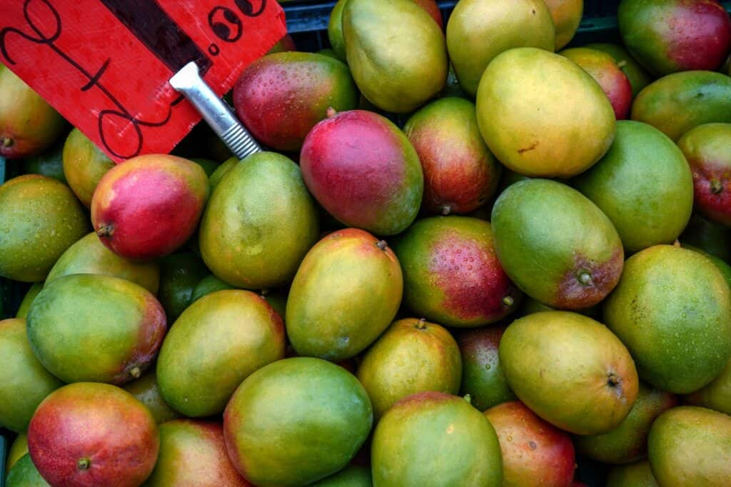 Cropped image of red-green mango in a food market